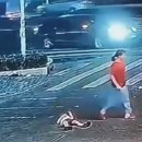 위시나떼 이미지