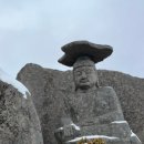 솔매기2 이미지