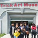 트릭아트뮤지엄 이미지