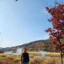 화천파크 이미지