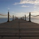 선인약국 이미지