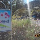 백동무궁화동산 이미지