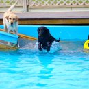 도기헤븐 이미지