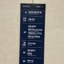 펫# | 속초 강아지 호텔 아이파크 스위트 오션뷰 펫룸 후기