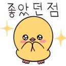 꽃피우는늘품