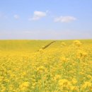 진화목장 이미지