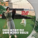 대부도 바다 애견 펜션 개꿀하우스 | 서울근교 애견동반 숙소 추천 바다 여행 오션뷰 영흥도 애견펜션