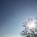 청솔불한증막 이미지