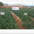 초야농장 이미지