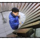 콩새야 놀자