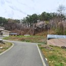 세종시 금남면 두만리 넓은대지의 전원주택 매매 이미지