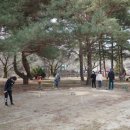 우드볼
