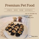 펫소울메이트 이미지