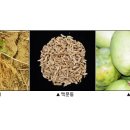토종약초