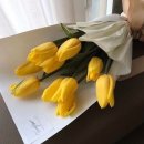 모모헤어 이미지