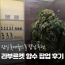 잠실 롯데월드몰 팝업 라부르켓 향수 퍼퓸 팝업 다녀온 후기 (+이벤트 정리)