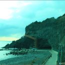 태하모노레일 이미지