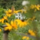 펜션델리앙 이미지