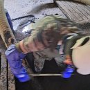 거목농장 이미지