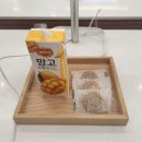 팜프헤어 이미지