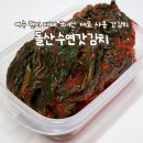국내산 재료만 사용한 맛있는 여수 갓김치 돌산수연갓김치