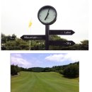 진천애머슨 11/8(토)13:20 이미지