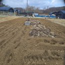 강철농장 이미지