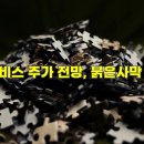 One Top PC | 펄어비스 주가 전망, 붉은사막 흥행 후 시가총액 10조 가능? 채용정보! 연봉, 복지, 면접 후기 완벽 정리