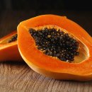 파파야 이미지