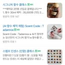 제31사단공병대대 | 대구 향수공방 동성로 원데이클래스 따단녹 나만의 향수 만들기