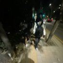 내하원 이미지