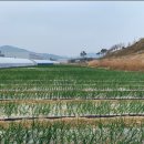 거창농장 이미지