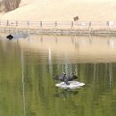 고양컨트리클럽 이미지