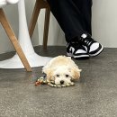 카페오늘의 이미지