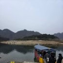 영월로 | 영월 청령포 주말 오픈런, 장릉, 성호식당, 소금빵, 선돌 후기