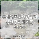 억수농원 | 부산 근교 취사 가능한 계곡 / 무지개폭포휴양농원 / 양산 무지개 계곡 / 당일치기 양산 여행 / 양산...