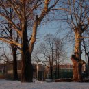 수원농생명과학고등학교 이미지