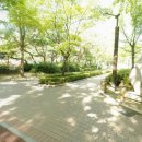 영풍초교병설유치원 이미지