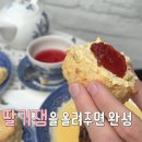 해외 여행지 추천-③ | 영국 소도시 여행, 캔터베리 &amp; 라이 | 바다를 품은 푸른 언덕 &#39;웨스트 힐&#39;