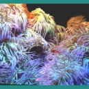 재활나라 이미지