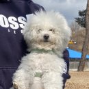 크로스핏 한옥(중화산센터) 이미지