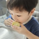 6월 제철과일 아트팜농원 신비복숭아 영천산지직송 복숭아맛집 선물추천