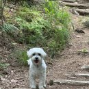 성불사 앞 | [등산⛰️] 해운대 장산🌲 성불사 주차장 최단 코스 후기