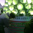 한국코와(주) 이미지