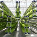 미래플러스팜 이미지