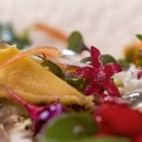 감선호취 이미지