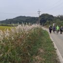 평택호에서 서해로 고속도로는 흐르고, 그 길(평택섶길3-1)위에서 명상을 하다 삼천포로 빠지다. 이미지