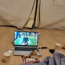 수림휴원/보령글램핑장/내돈내산/겨울글램핑!