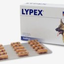 라이펙스 이미지