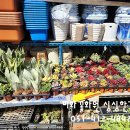 미화화원 이미지